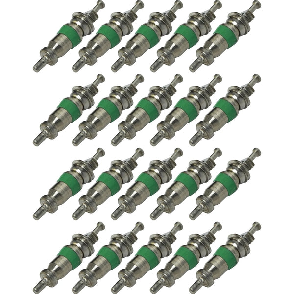 Valve Core 20 PCS