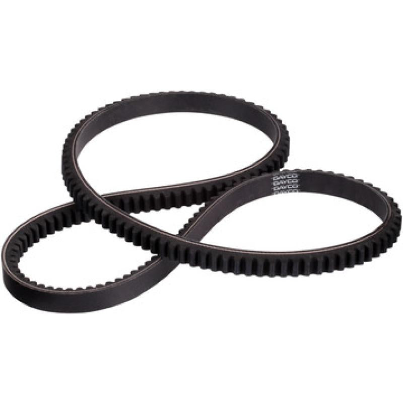 dayco-17610-800x800-kqdO9C.jpg